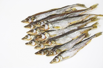 рыба хит официальный сайт. Смотреть фото рыба хит официальный сайт. Смотреть картинку рыба хит официальный сайт. Картинка про рыба хит официальный сайт. Фото рыба хит официальный сайт рыба хит официальный сайт. Смотреть фото рыба хит официальный сайт. Смотреть картинку рыба хит официальный сайт. Картинка про рыба хит официальный сайт. Фото рыба хит официальный сайт