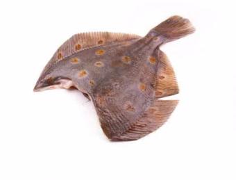 рыба хит официальный сайт. Смотреть фото рыба хит официальный сайт. Смотреть картинку рыба хит официальный сайт. Картинка про рыба хит официальный сайт. Фото рыба хит официальный сайт рыба хит официальный сайт. Смотреть фото рыба хит официальный сайт. Смотреть картинку рыба хит официальный сайт. Картинка про рыба хит официальный сайт. Фото рыба хит официальный сайт