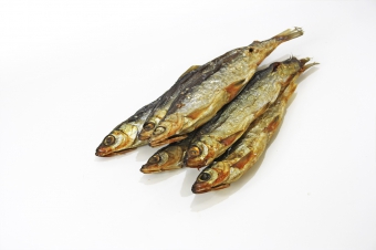 рыба хит официальный сайт. Смотреть фото рыба хит официальный сайт. Смотреть картинку рыба хит официальный сайт. Картинка про рыба хит официальный сайт. Фото рыба хит официальный сайт рыба хит официальный сайт. Смотреть фото рыба хит официальный сайт. Смотреть картинку рыба хит официальный сайт. Картинка про рыба хит официальный сайт. Фото рыба хит официальный сайт