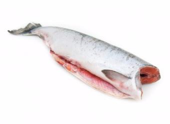 рыба хит официальный сайт. Смотреть фото рыба хит официальный сайт. Смотреть картинку рыба хит официальный сайт. Картинка про рыба хит официальный сайт. Фото рыба хит официальный сайт рыба хит официальный сайт. Смотреть фото рыба хит официальный сайт. Смотреть картинку рыба хит официальный сайт. Картинка про рыба хит официальный сайт. Фото рыба хит официальный сайт