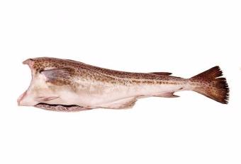 рыба хит официальный сайт. Смотреть фото рыба хит официальный сайт. Смотреть картинку рыба хит официальный сайт. Картинка про рыба хит официальный сайт. Фото рыба хит официальный сайт рыба хит официальный сайт. Смотреть фото рыба хит официальный сайт. Смотреть картинку рыба хит официальный сайт. Картинка про рыба хит официальный сайт. Фото рыба хит официальный сайт